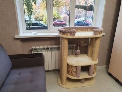 Купить игровой комплекс для Мейн-Куна и других крупных пород кошек в ...