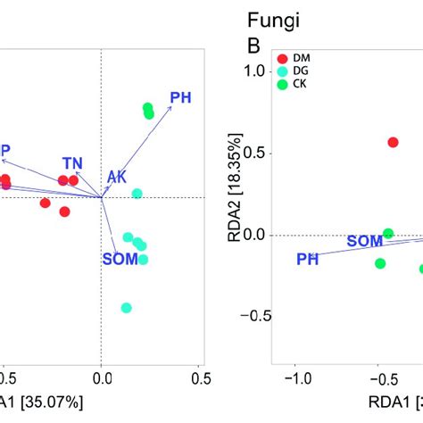 Redundancy Analysis Of Differential Bacterial A And Fungal B And