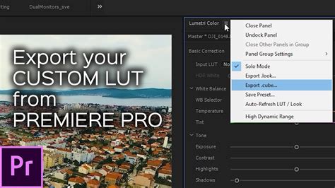 How To Export Your Custom Lut From Adobe Premiere Pro Cc Youtube