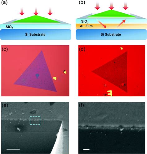 Enhanced Lightmatter Interaction Of A Mos Monolayer With A Gold