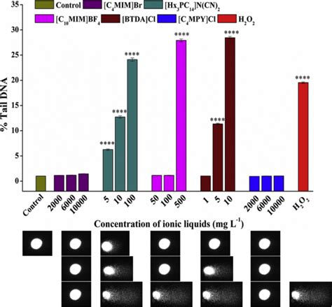 Mechanisms Of Action Of Ionic Liquids On Living Cells The State Of The