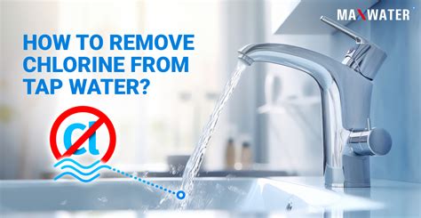 How To Remove Chlorine From Tap Water