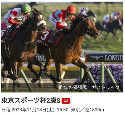 東京スポーツ杯2歳ステークスg2無料予想🐎11月18日東京競馬場🏇三連複万馬券的中🎯幅広く買ってーーー ｜ボヘミアン⚾カープatelier