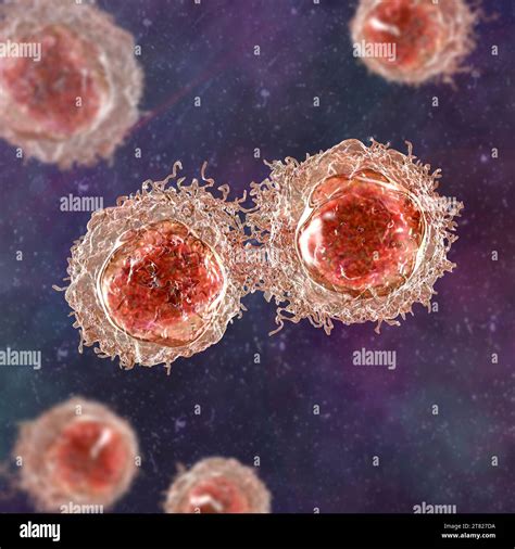 Cancer Cells Illustration Stock Photo Alamy