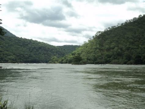 Researchers Identify Heavy Metal Pollution across Cauvery River Basin in Tamil Nadu - Delhi Post