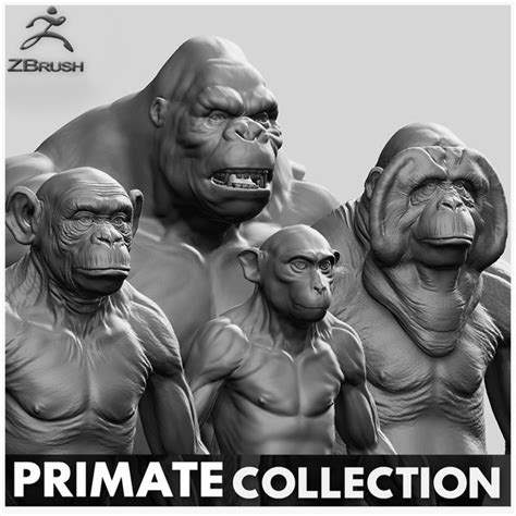 King Kong 3d Models For Download Turbosquid