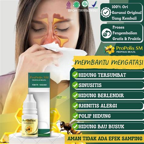 Jual Obat Hidung Tersumbat Radang Sinusitis Hidung Berlendir Pilek