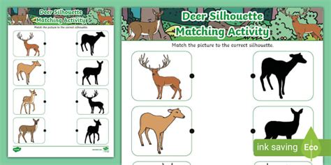 Deer Silhouette Matching Activity Professor Feito Twinkl