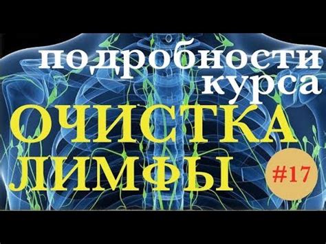 ОЧИСТКА ЛИМФЫ- подробности программы - YouTube