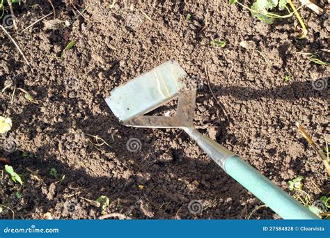 Hoeing The Garden Royalty Free Stock Photos Image 27584828