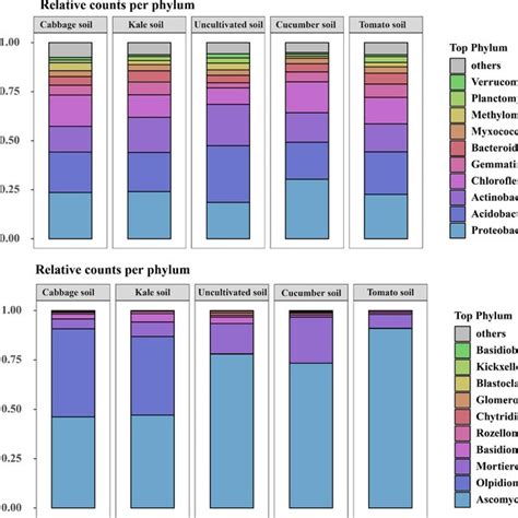 Composition And Beta Diversity Of Bacterial And Fungal Communities