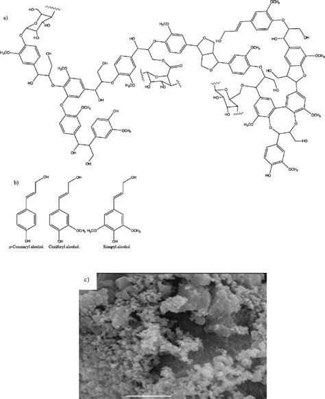 The Molecular Structure And Surface Morphology Of Pure Lignin A A