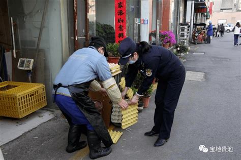 【创建全国文明城市】贵池城管市容环境整治不停歇管理经营进行