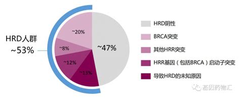 卵巢癌基因突变检测brca检测、hrd检测、hrr检测助力卵巢癌brca突变parp抑制剂使患者获益多达50全球肿瘤医生网