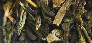 Sencha Tea - Your Everyday Infused Green Tea