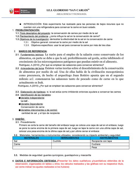 Esquema Detallado Para La Elaboraci N Del Informe Para La Fencyt