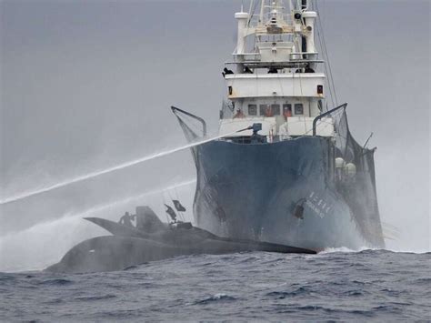 Sea Shepherd Baleiniers Japonais Nous Sommes En Guerre Passion