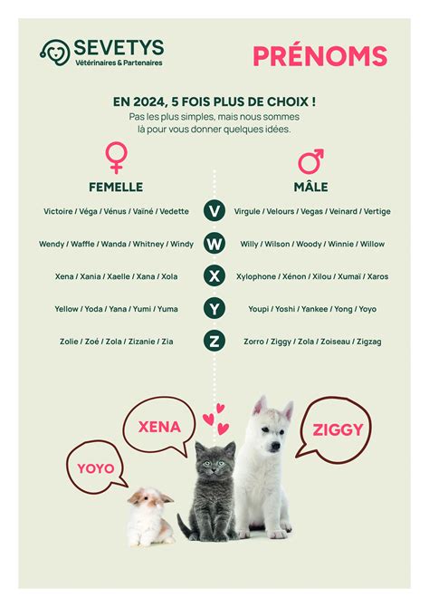 Prénoms pour chats en 2024 notre sélection