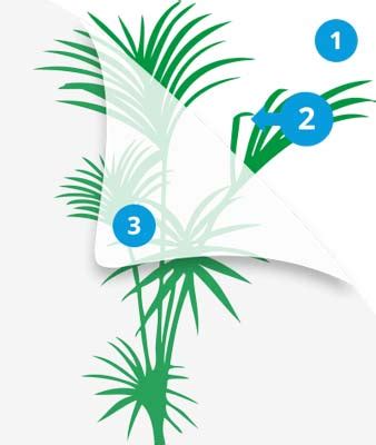 Стайна палма - Декоративен стикери за стена от фолио — Stickerix.com