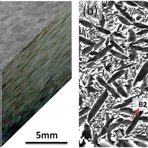 A Images Of The Starting Microstructures Of Ti Al Nb Alloy In