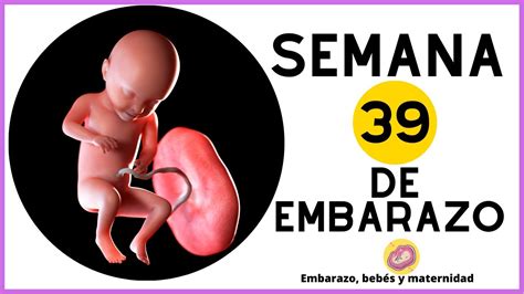 SEMANA 39 DE EMBARAZO 39 Semanas 9 Meses EMBARAZO SEMANA A SEMANA