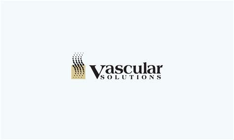 vascular solutions  capital