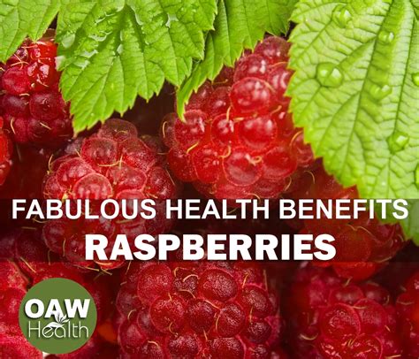 Health Benefits Of Raspberries