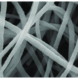 SEM Images Of PVDF Nanofiber Membranes With Different Concentrations