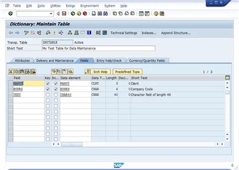 How To Manage Table Maintenance Dialogs In Sap Erp