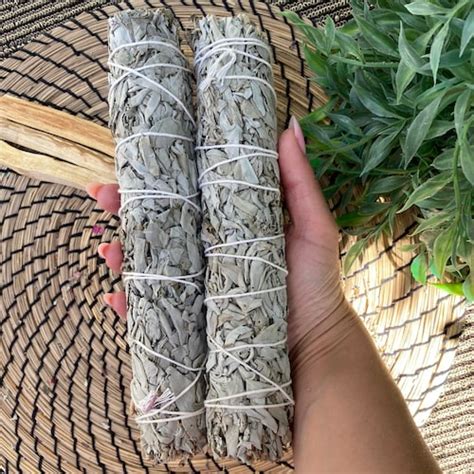 Inch California White Sage Smudge Sticks Bundles Etsy