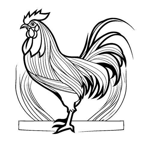 Feathered Rooster Coloring Page Lulu Pages