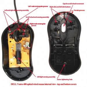 COMPUTERHWS: PARTS OF A COMPUTER MOUSE