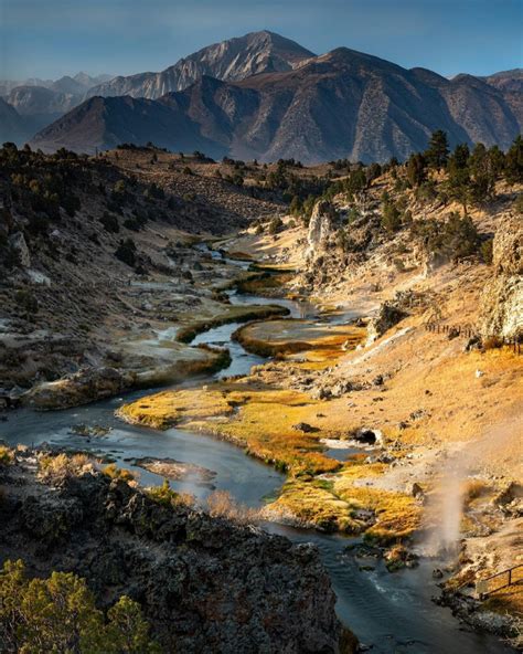 Owens River Lower Fish Report Bishop Ca Inyo County