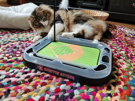 Since there isn't a take your cat to the ballpark day, I had to bring