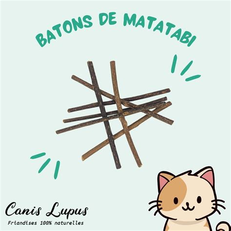 Bâton de Matatabi - Canis-Lupus
