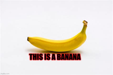 Bananas Imgflip