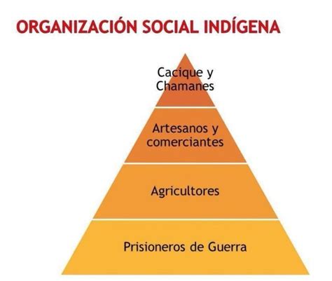 Elabora Una Pir Mide Sobre La Organizaci N Social De Los Ind Genas