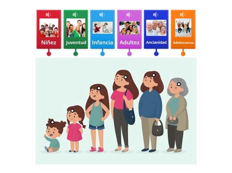 Etapas Del Desarrollo Humano Labelled Diagram