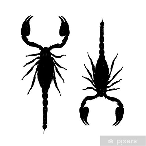 Sticker Scorpions Black Silhouette For Your Design PIXERS US