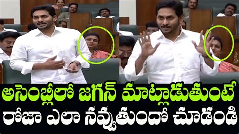 MLA Roja Laughs At Chandrababu Naidu Over YS Jagan S Punches AP