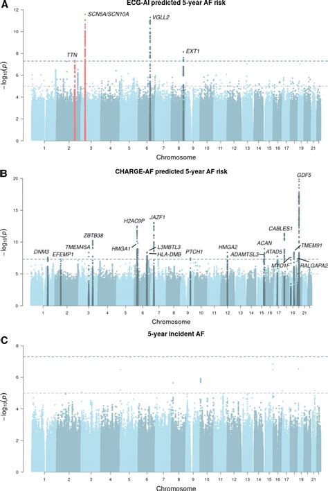 Genetic Susceptibility To Atrial Fibrillation Identified Via Deep