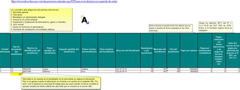 Liquidador Plantilla Del Formato Y Para El Reporte De