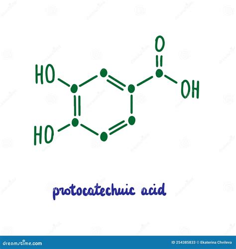 Protocatechuic Acid Hand Drawn Vector Formula Chemical Structure Lettering Blue Green Stock ...