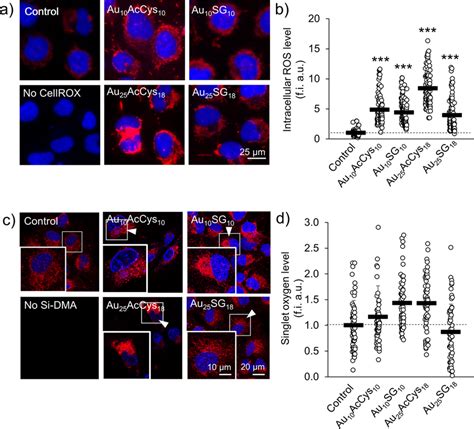 Oxidative Stress In Human Microglia In Response To Single And