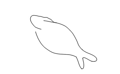 How to Draw a Dugong Step by Step