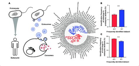 Protein Components Of SEVs And LEVs Show Different Evolutionary