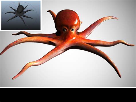 Octopus Low Poly Rigged D Asset Cgtrader