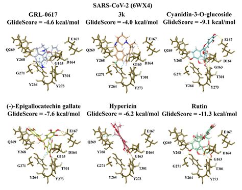 Identification Of Small Molecule Inhibitors Of The Deubiquitinating