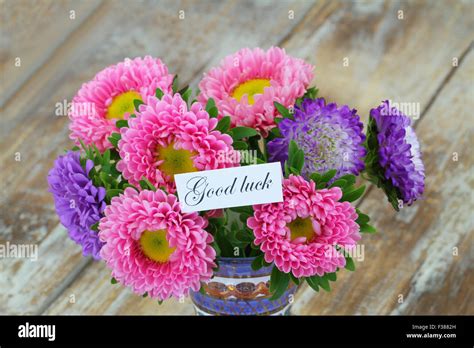 Good luck card with colorful aster flowers bouquet on rustic wooden ...