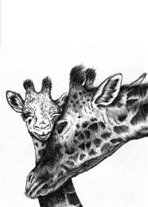 Baby Giraffe And Mother Print Hand Drawn Original Illustration